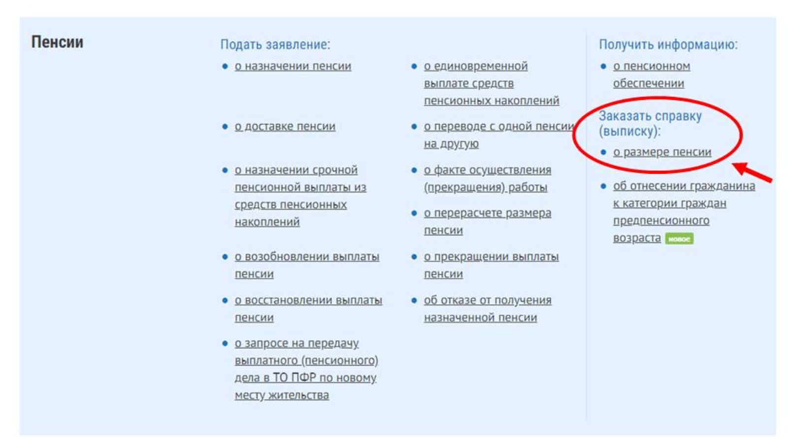 Справка о назначенных пенсиях и социальных выплатах образец